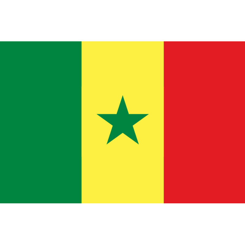 Drapeau Sénégal (19.5x13cm) - Sticker/autocollant