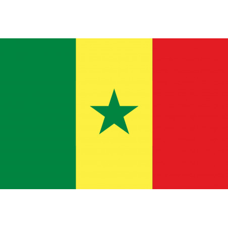 Drapeau Sénégal (19.5x13cm) - Autocollant(sticker)