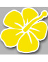 Repère fleur 3 - 15cm - Autocollant(sticker)