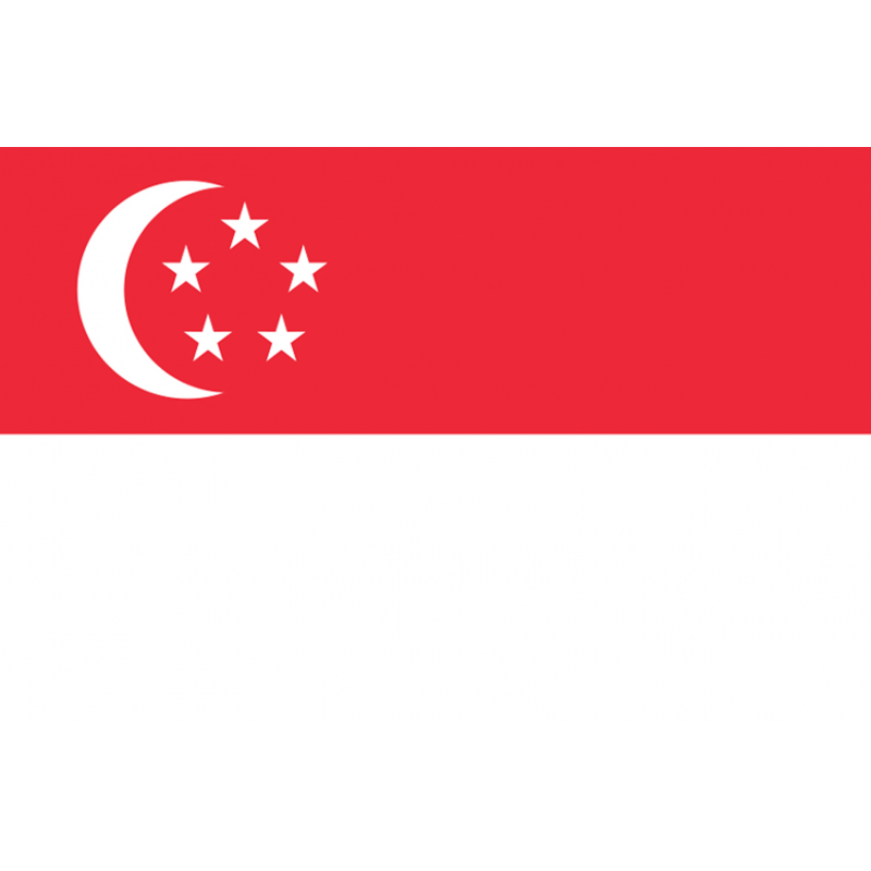 Drapeau Singapour (19.5 x 13 cm) - Autocollant(sticker)