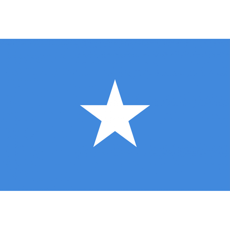 Drapeau Somalie (15 x 10 cm) - Autocollant(sticker)