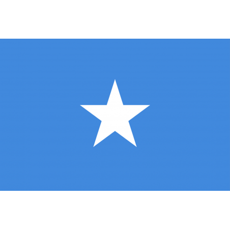 Drapeau Somalie (15 x 10 cm) - Autocollant(sticker)