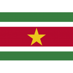 Drapeau Suriname (19.5 x 13 cm) - Autocollant(sticker)