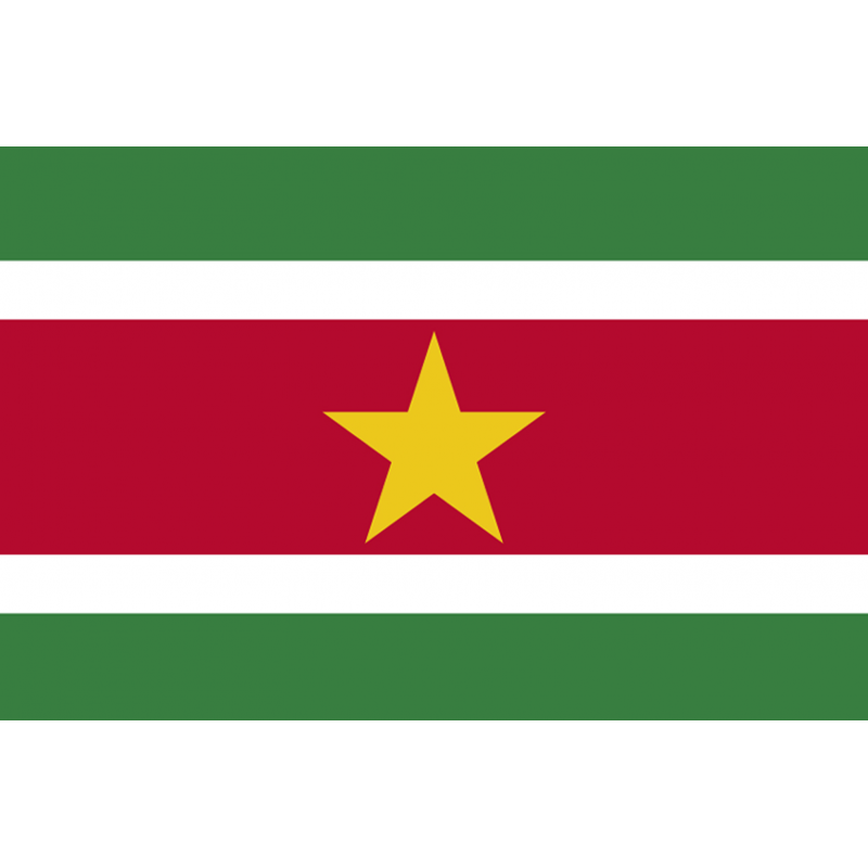 Drapeau Suriname (19.5 x 13 cm) - Autocollant(sticker)