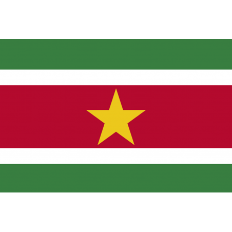 Drapeau Suriname (19.5 x 13 cm) - Autocollant(sticker)