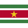 Drapeau Suriname (19.5 x 13 cm) - Autocollant(sticker)