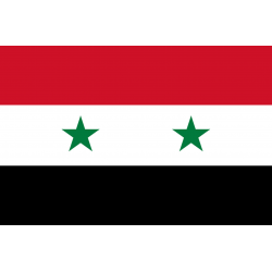 Drapeau Syrie (19.5 x 13 cm) - Autocollant(sticker)