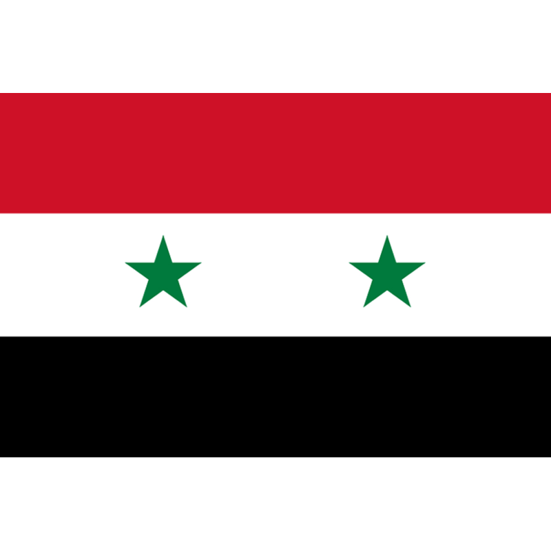 Drapeau Syrie av.2024 (19.5 x 13 cm) - Sticker/autocollant