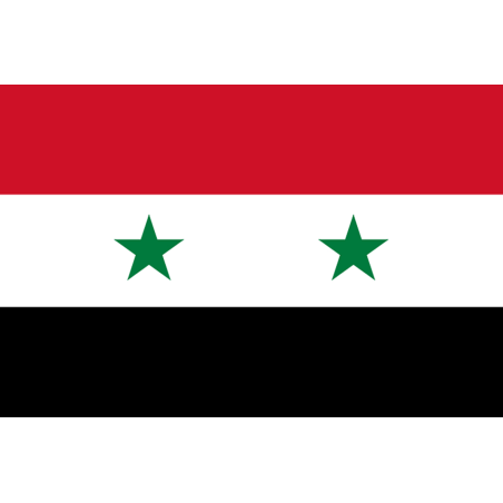 Drapeau Syrie av.2024 (19.5 x 13 cm) - Sticker/autocollant