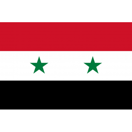 Drapeau Syrie (19.5 x 13 cm) - Autocollant(sticker)