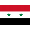 Drapeau Syrie (19.5 x 13 cm) - Autocollant(sticker)