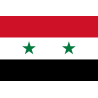 Drapeau Syrie av.2024 (5 x 3.3 cm) - Sticker/autocollant