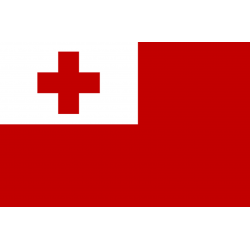 Drapeau Tonga (19.5 x 13 cm) - Autocollant(sticker)