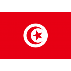 Drapeau Tunisie (19.5 x 13 cm) - Autocollant(sticker)