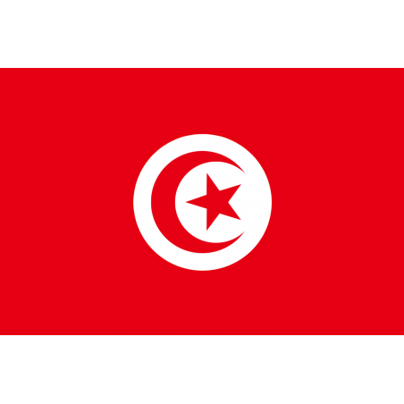 Drapeau Tunisie (19.5 x 13 cm) - Autocollant(sticker)