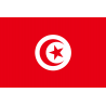 Drapeau Tunisie (19.5 x 13 cm) - Autocollant(sticker)