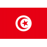 Drapeau Tunisie (15 x 10 cm) - Autocollant(sticker)