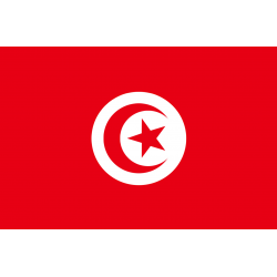 Drapeau Tunisie (5 x 3.3 cm) - Autocollant(sticker)