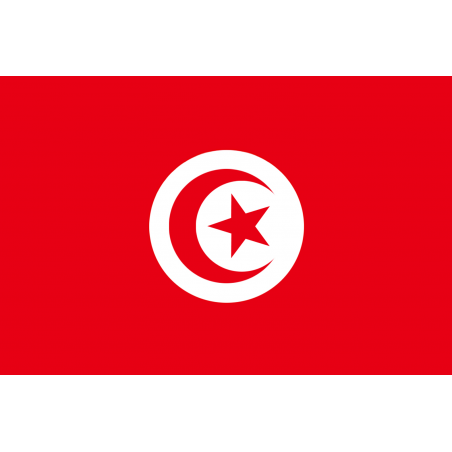 Drapeau Tunisie (5 x 3.3 cm) - Autocollant(sticker)