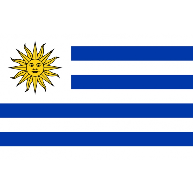 Drapeau Uruguay (5 x 3.3 cm) - Autocollant(sticker)