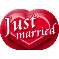 Just married (20x14cm) - Autocollant(sticker)