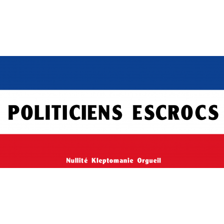 Politiciens escrocs (10x4cm) - Autocollant(sticker)