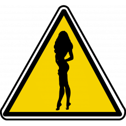 silhouette pin-up 31 (20x18.2cm) - Autocollant(sticker)