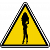 silhouette pin-up 31 (15x13.8cm) - Autocollant(sticker)