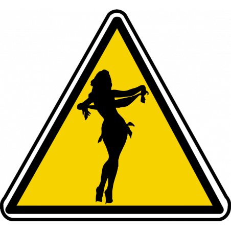 silhouette pin-up 27 (10x9cm) - Autocollant(sticker)