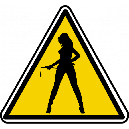 silhouette pin-up 3 (20x18.2cm) - Autocollant(sticker)