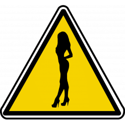 silhouette pin-up 7 (20x18.2cm) - Autocollant(sticker)