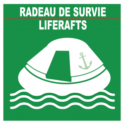 RADEAU DE SURVIE (5X5cm) - Autocollant(sticker)