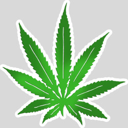 Feuille de cannabis (20x20cm) - Autocollant(sticker)