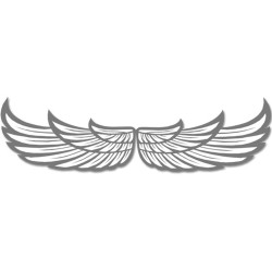 Autocollant (sticker):  paire d'ailes (30x8cm)