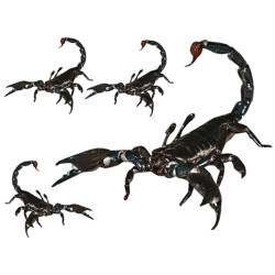 Scorpions (1x21.5cm & 3x8.5cm) - Autocollant(sticker)