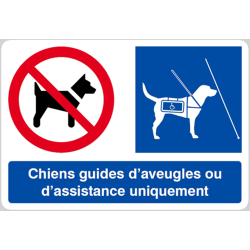 Interdit Sauf Chiens Guides (15x10cm) - Sticker / autocollant