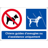 Interdit Sauf Chiens Guides (15x10cm) - Sticker / autocollant