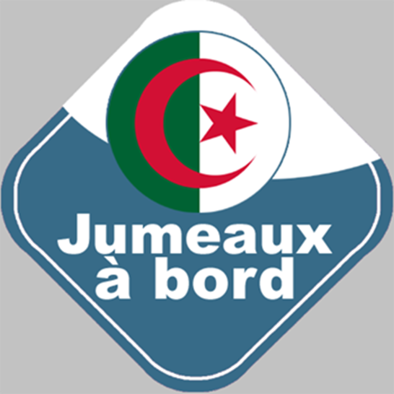 bébé à bord jumeaux d'origine Algérienne - 15x15cm - Autocollant(sticker)