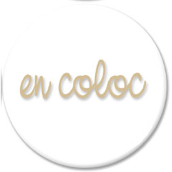 Autocollant (sticker): En coloc - Modèle 5 (10cm)