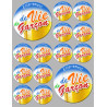 Autocollant (sticker):  Enterrement de vie de garçon 1 (2 fois 9cm et 12 fois 5cm)