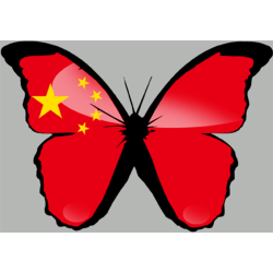 Effet papillon Chinois - 10x7cm - Autocollant(sticker)