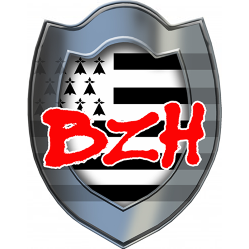 Bouclier BZH (5x4cm) - Sticker/autocollant