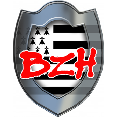 Bouclier BZH (5x4cm) - Sticker/autocollant