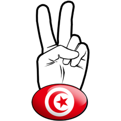 salut de motard tunisien (15x7,2cm) - Sticker/autocollant