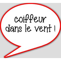 coiffeur dans le vent - 15x13.5cm - sticker/autocollant