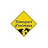 Autocollant (sticker): Transport d'animaux jaune - 15x15cm