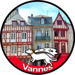 Vannes - 15x15cm - Sticker/autocollant