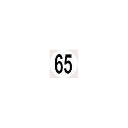 sortie de secours dessous droite (2fois 15x15cm) - Autocollant(sticker)