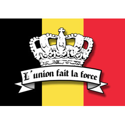 L'union fait la force - 5x3.5cm - Sticker/autocollant