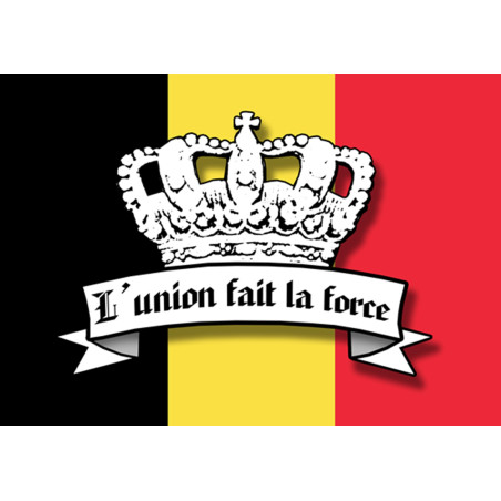 L'union fait la force - 5x3.5cm - Autocollant(sticker)